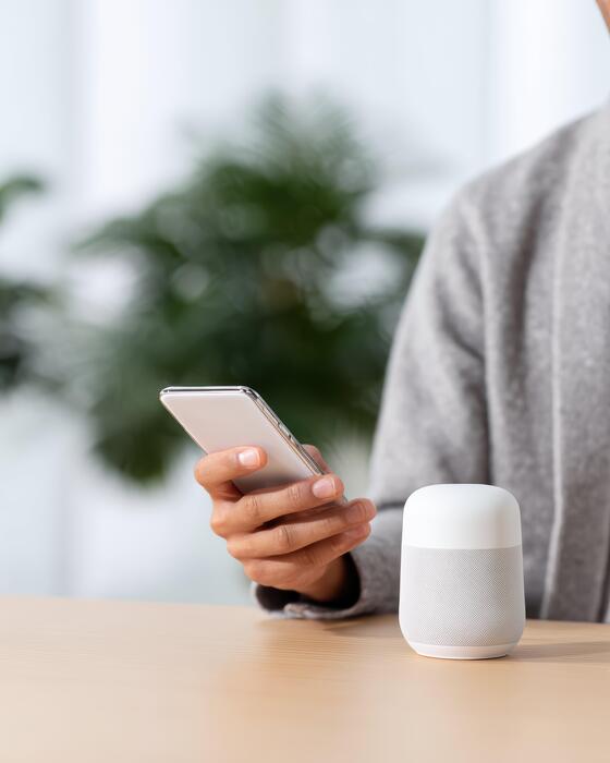 Voice Search: The 2026 Landscape